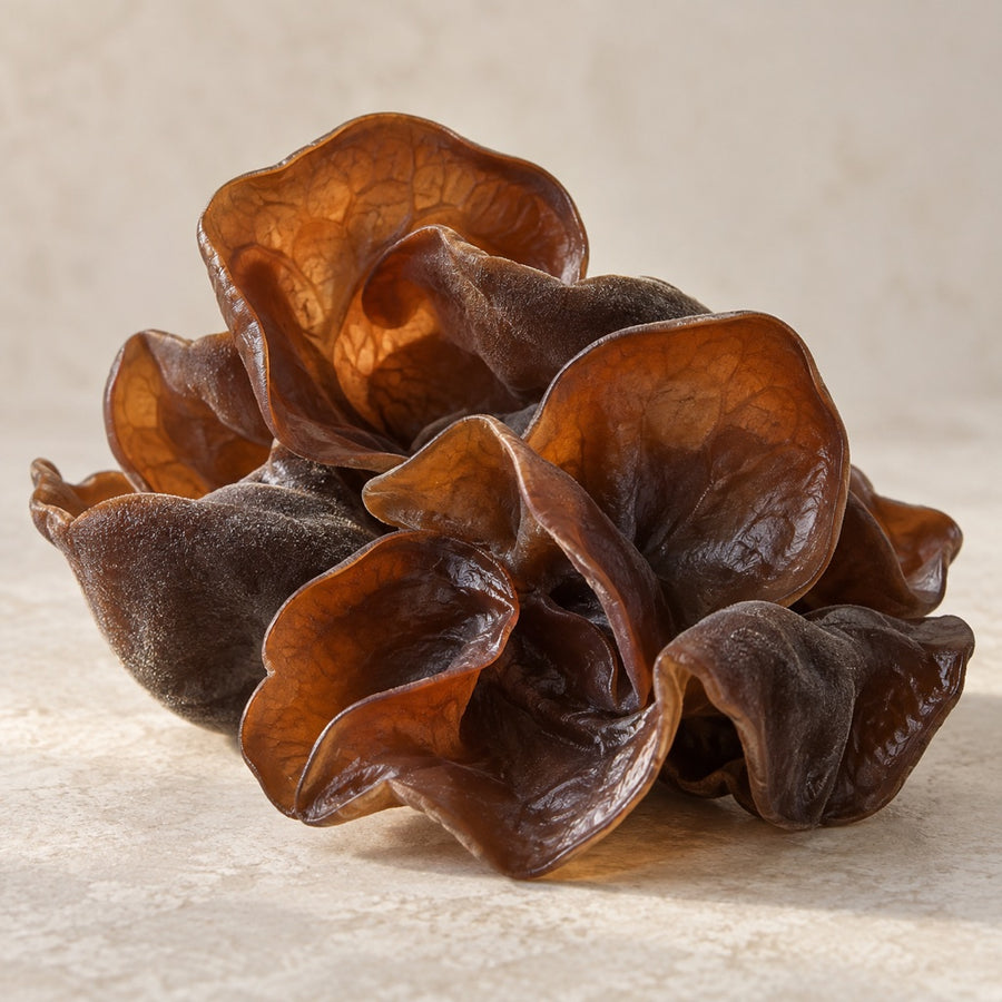 Translucent brown wood ear mushroom lobes