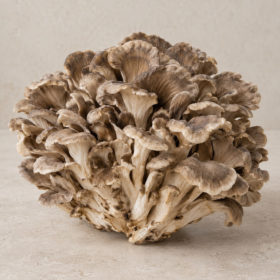 Clustered grey-tan maitake fronds