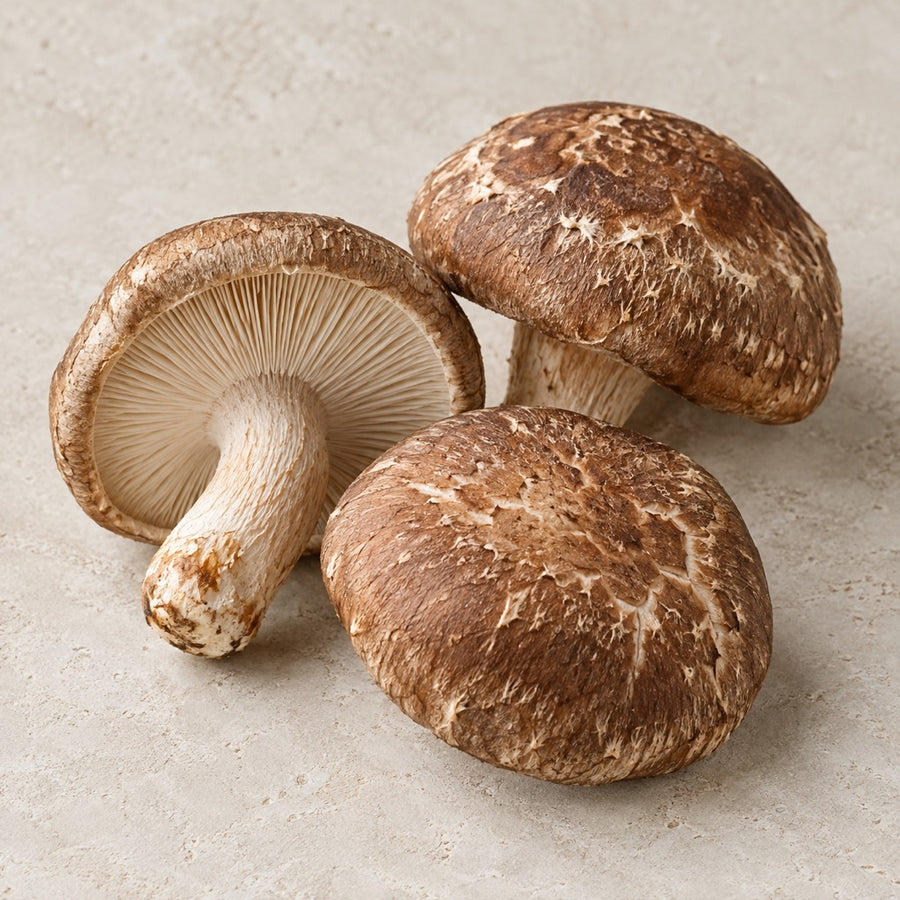 Brown shiitake caps and pale gills