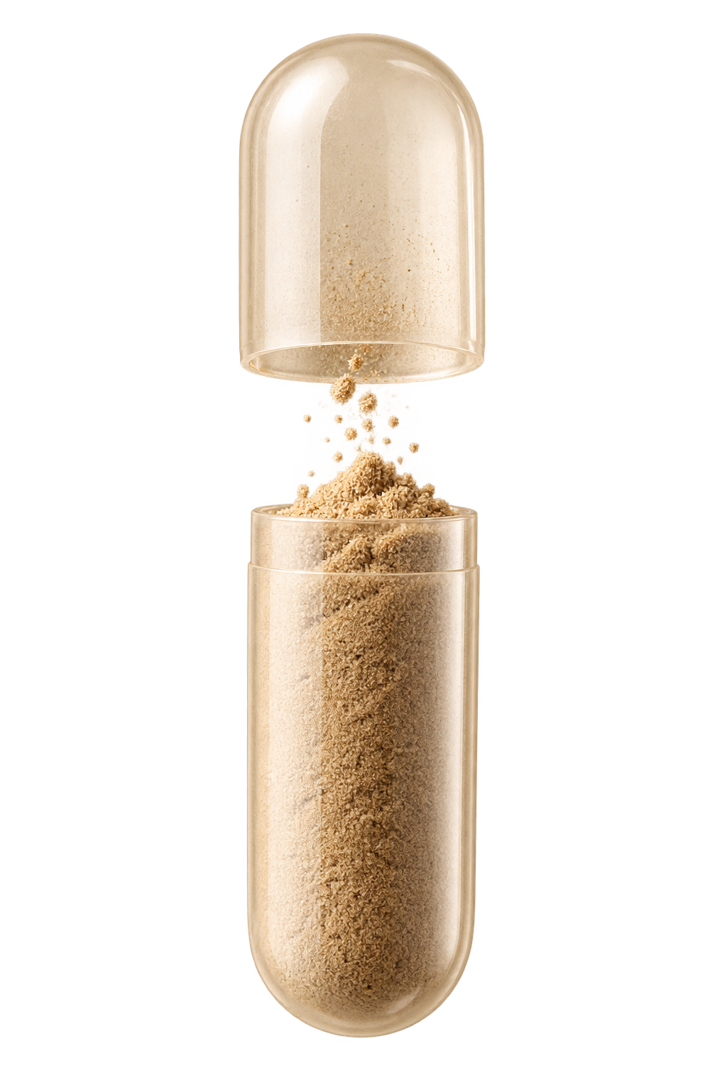 Illustrative vertical open capsule revealing fine tan mushroom extract powder